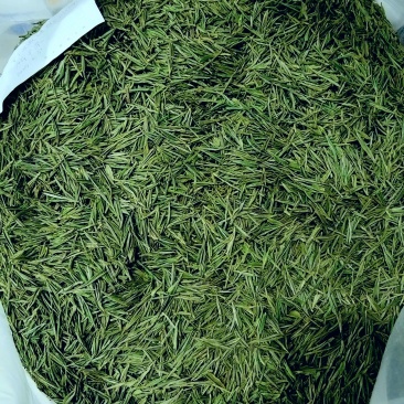 春前安吉白茶（一提两罐半斤装）