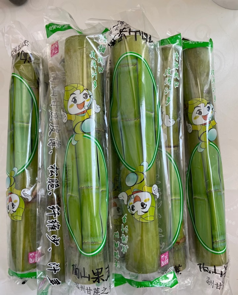 陶山广东甘蔗