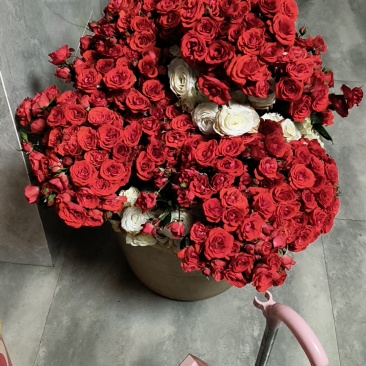 玫瑰花