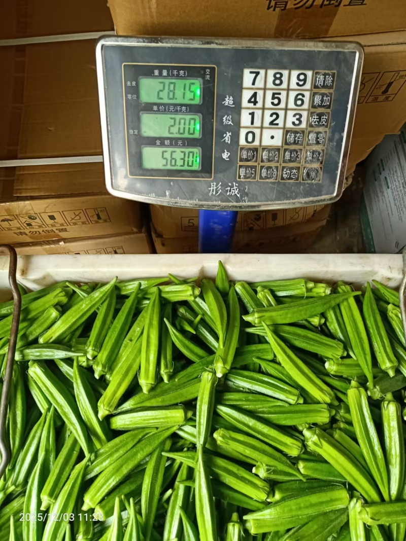 现采精品秋葵