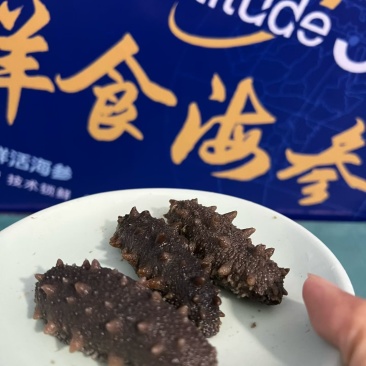威海海参独立包装，6-8头只要88