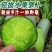 正宗潍坊水果萝卜现拔现发