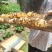 天水土蜂蜜