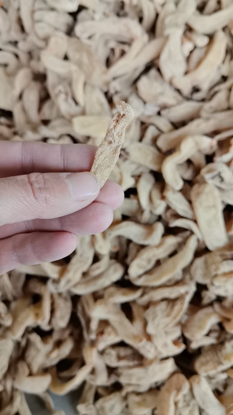 云南昭通乌天麻干天麻个子麻仔角麻