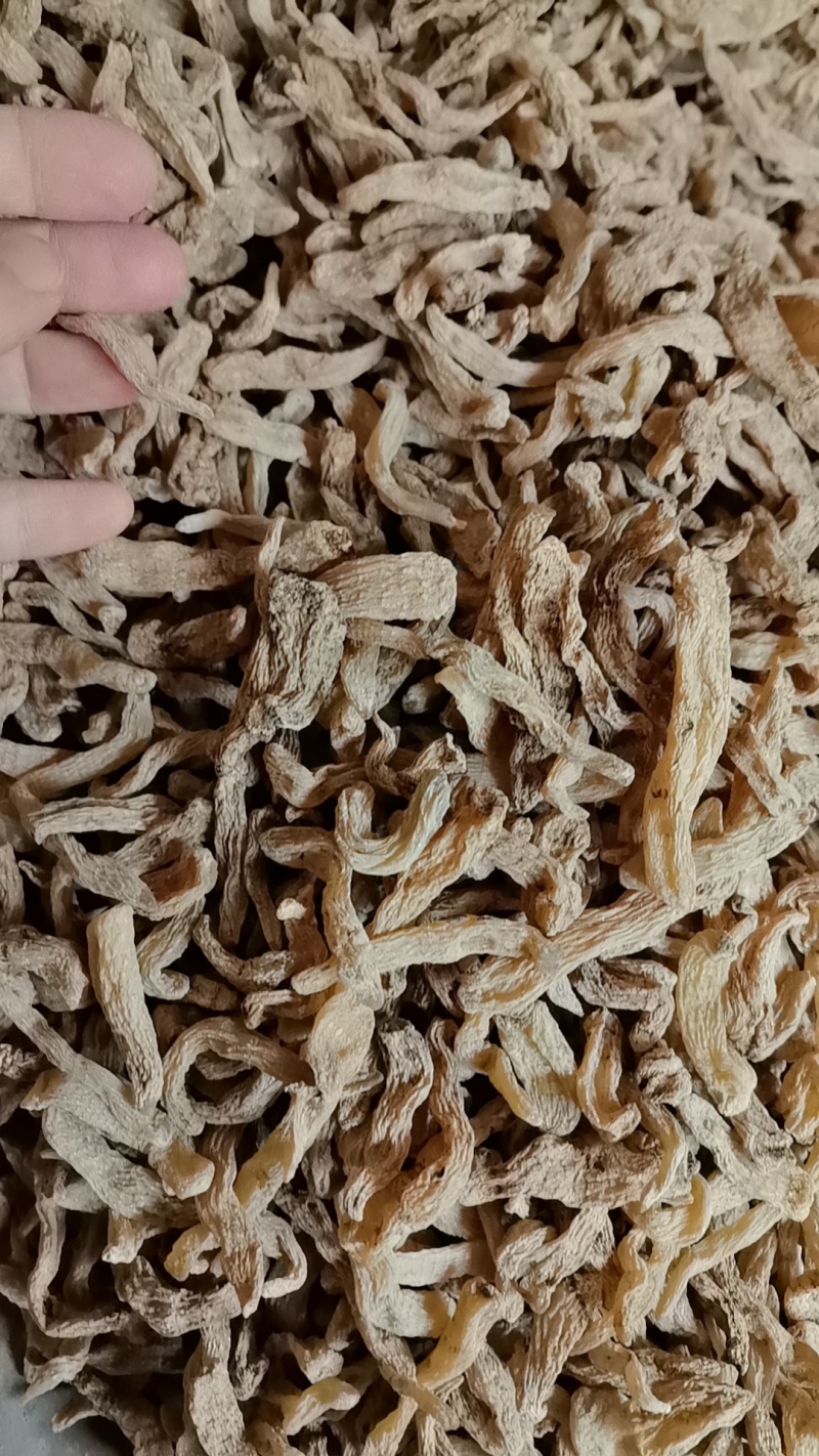 云南昭通乌天麻干天麻个子麻仔角麻