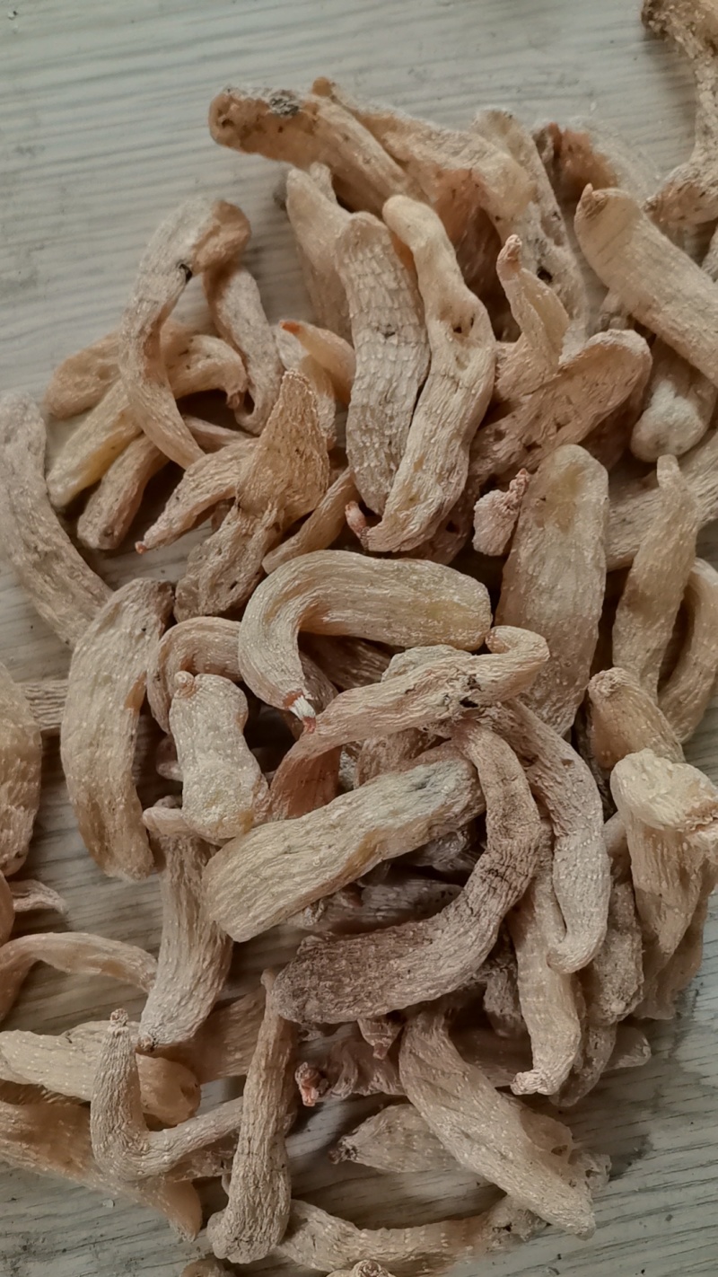 云南昭通乌天麻干天麻个子麻仔角麻