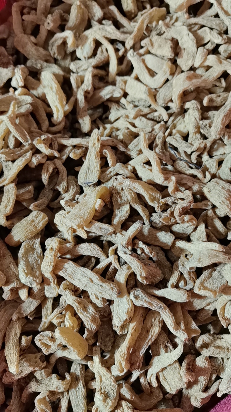 云南昭通乌天麻干天麻个子麻仔角麻