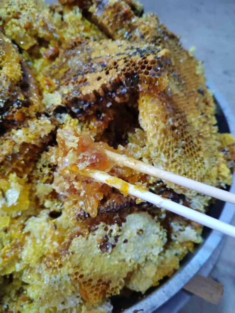 云南大山里的土蜂蜜