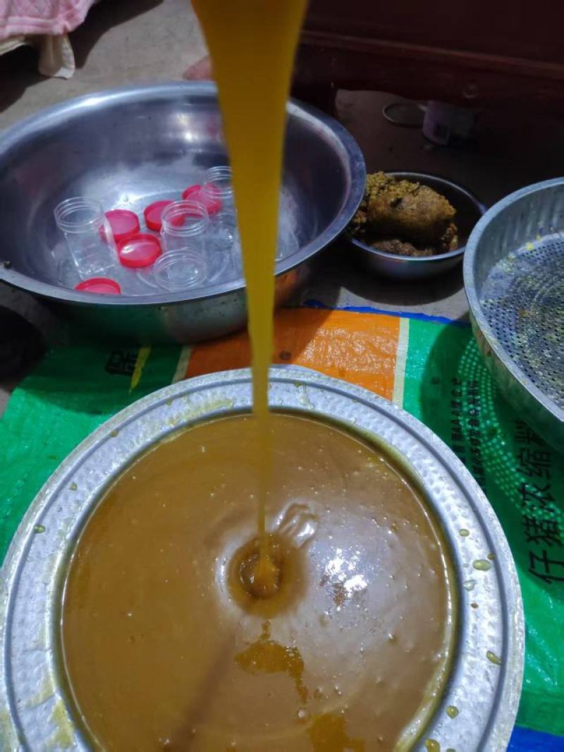 云南大山里的土蜂蜜