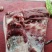 猪肉（冻肉）