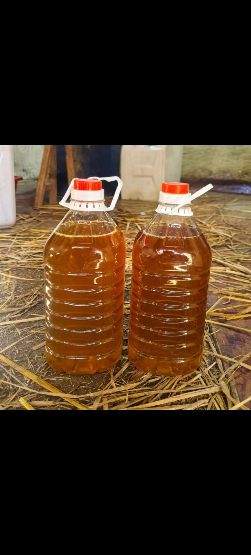 野生山茶油