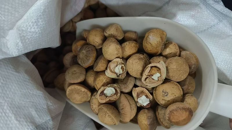 广东本地，薄壳风流果，足干货