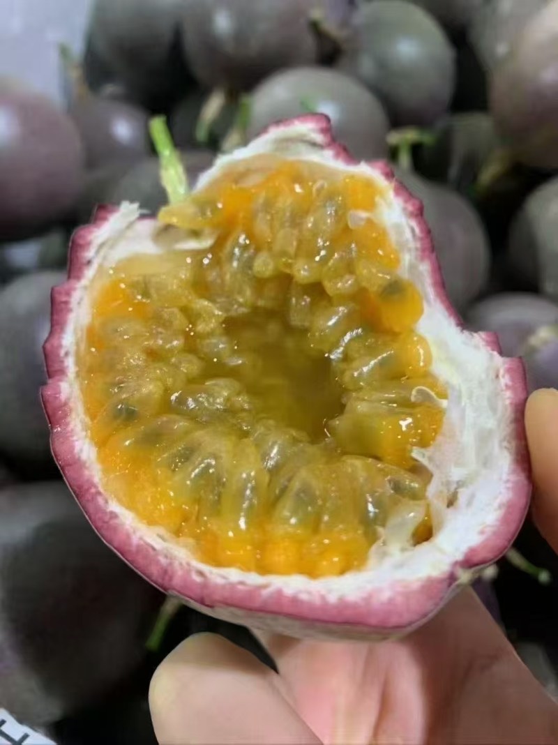 金都三号密桃百香果