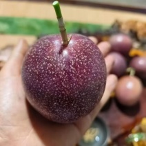 金都三号密桃百香果