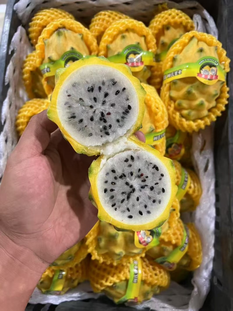 云南燕窝果