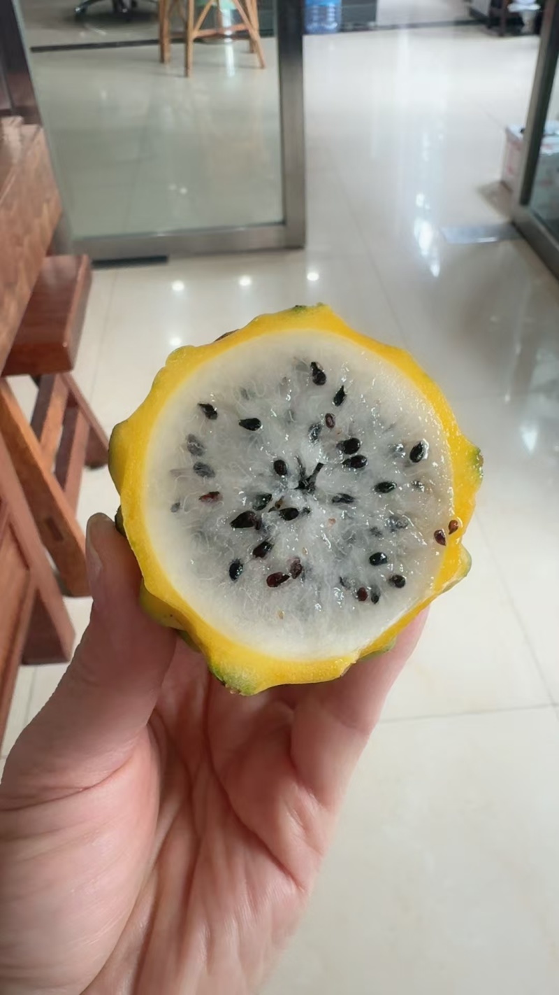 云南燕窝果