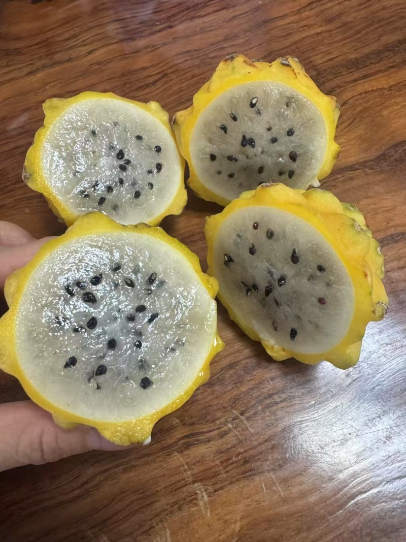云南燕窝果