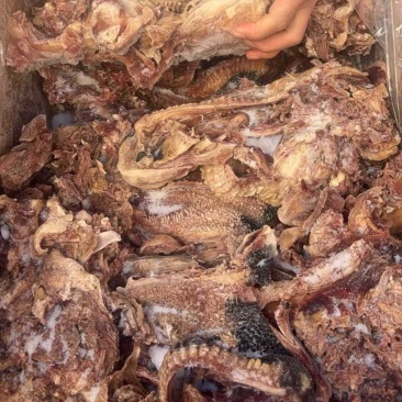 去皮牛头肉