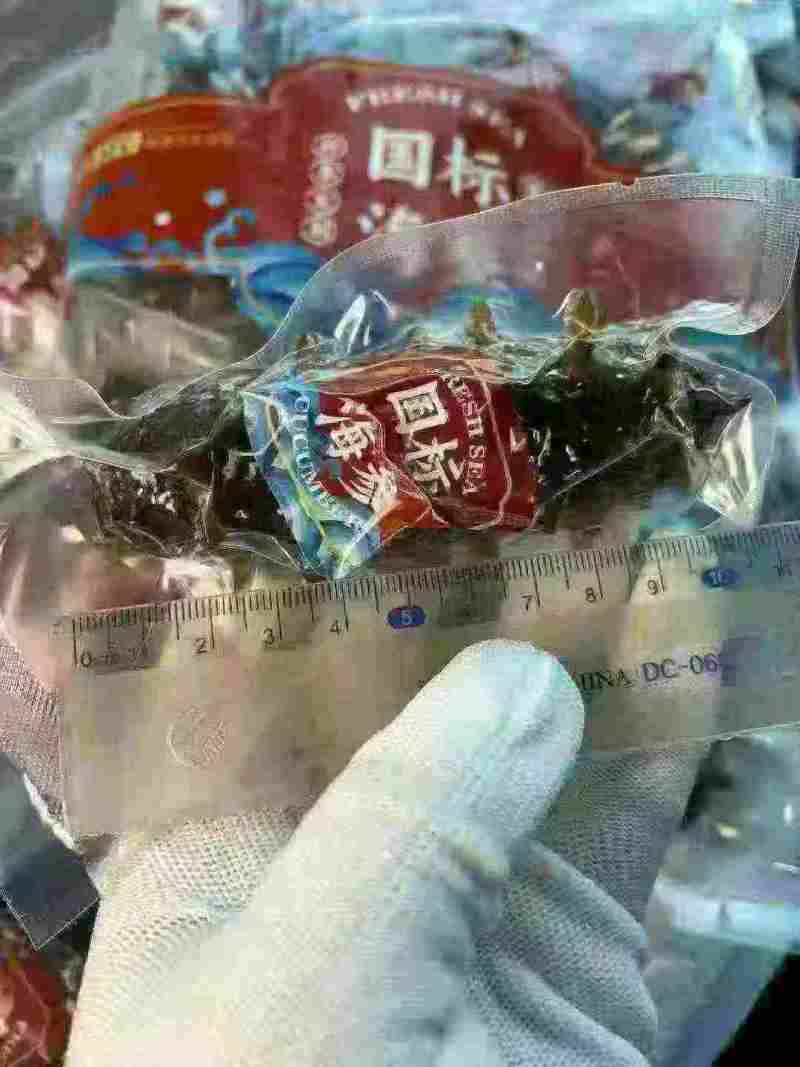 威海批发海参，只要3.99一只，真空包装