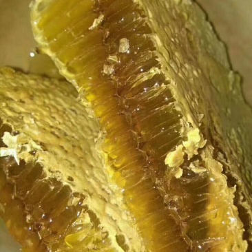 甘肃正宗土蜂蜜