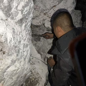 野生峰蜜，保证质量