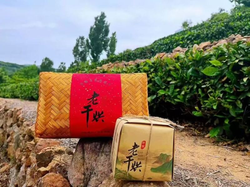 精品沂蒙山特产老干烘茶叶茶厂直发质量保证无中间商赚差价！