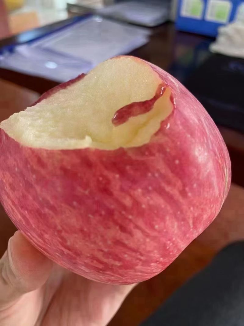 陕西淳化红富士苹果