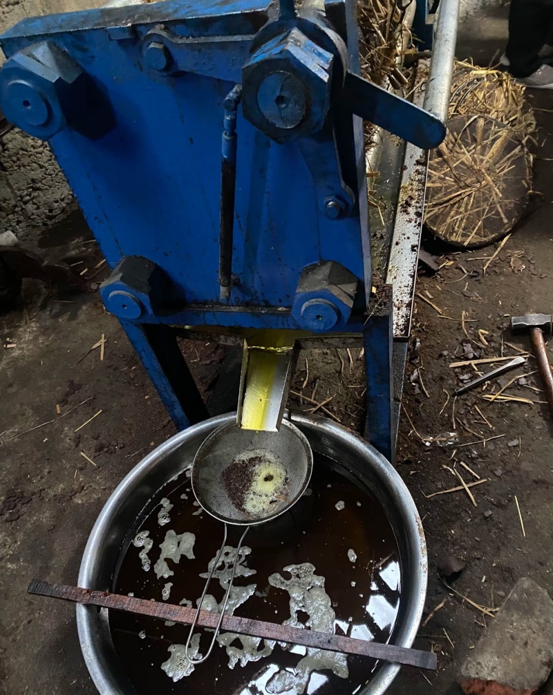山茶油
