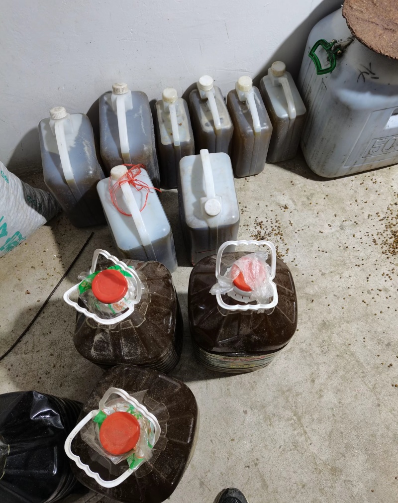 山茶油