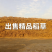精品治沙草