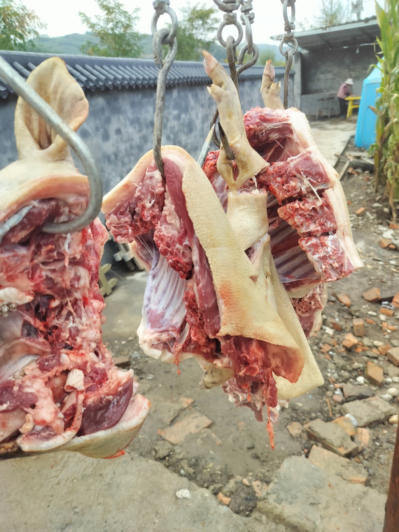 高原蕨麻猪肉