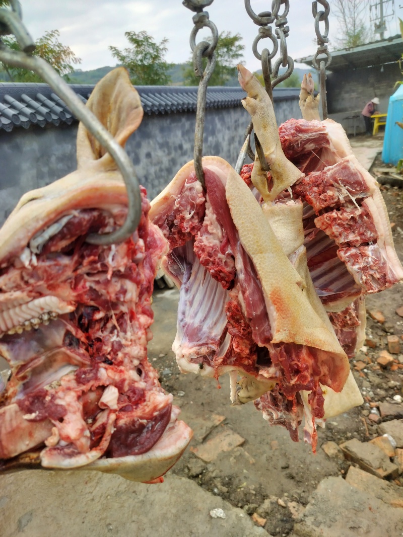 高原蕨麻猪肉