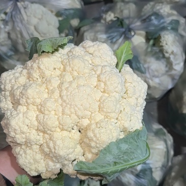 花菜