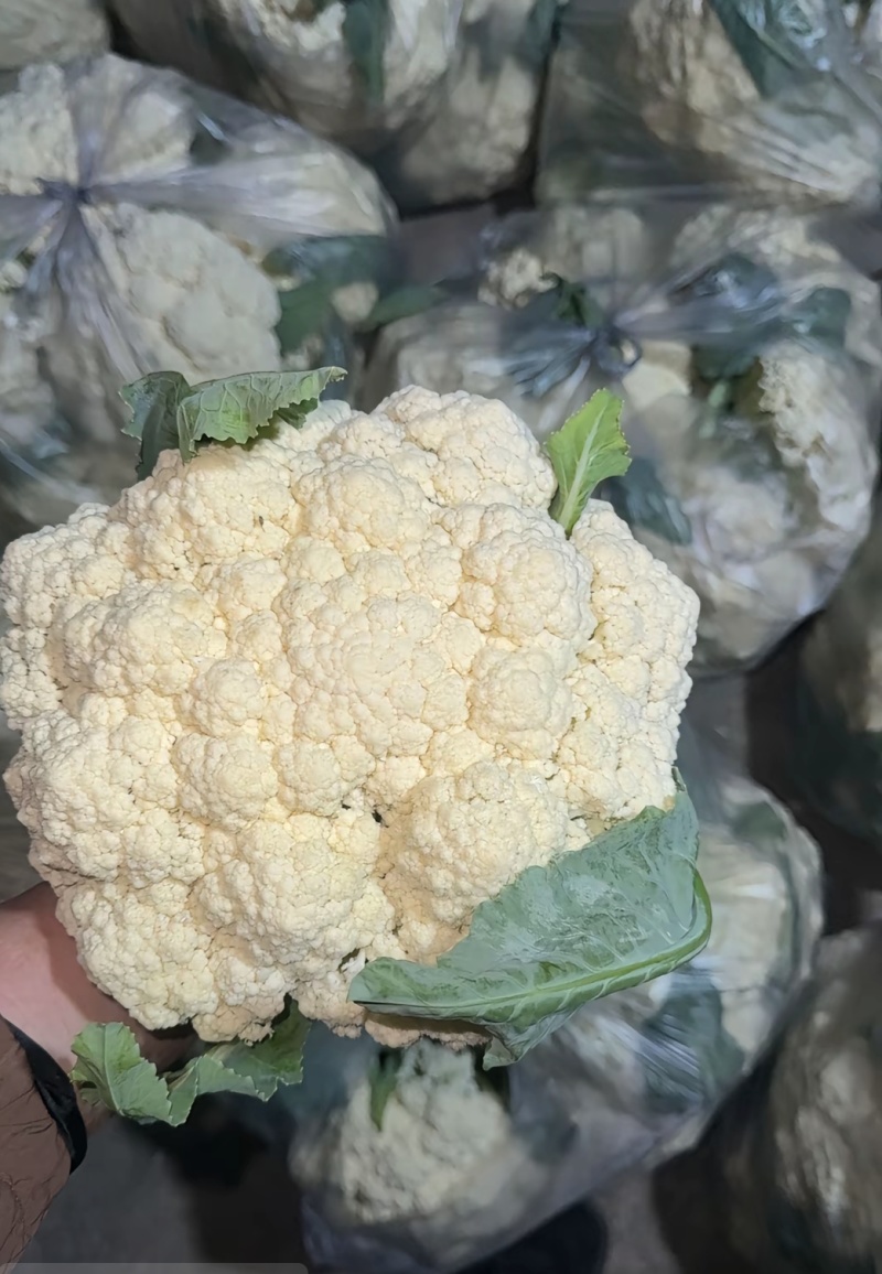花菜