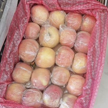 山东万斤红富士苹果黄金维纳斯