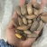 电商**香榧子大量有货，电商商超都可用，一件也可代发