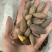 电商**香榧子大量有货，电商商超都可用，一件也可代发