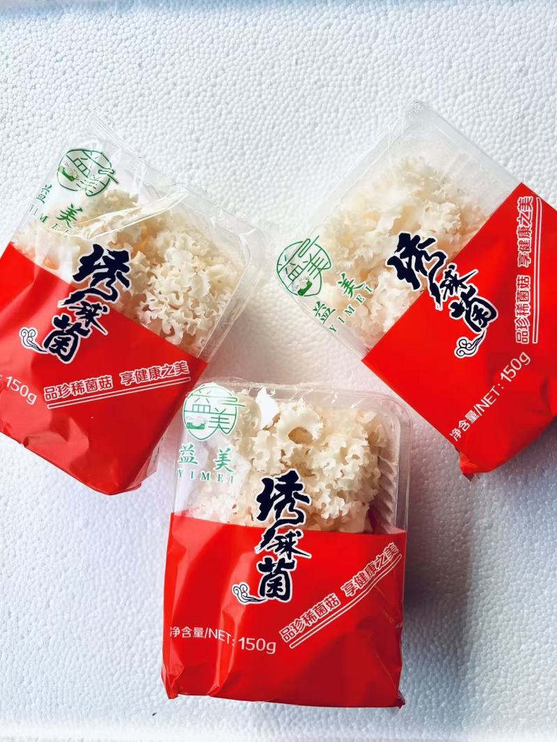 陕西绣球菌