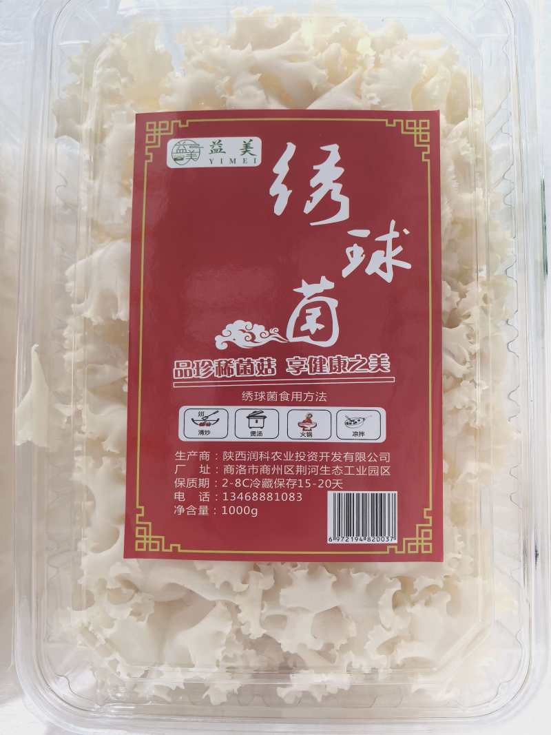 陕西绣球菌