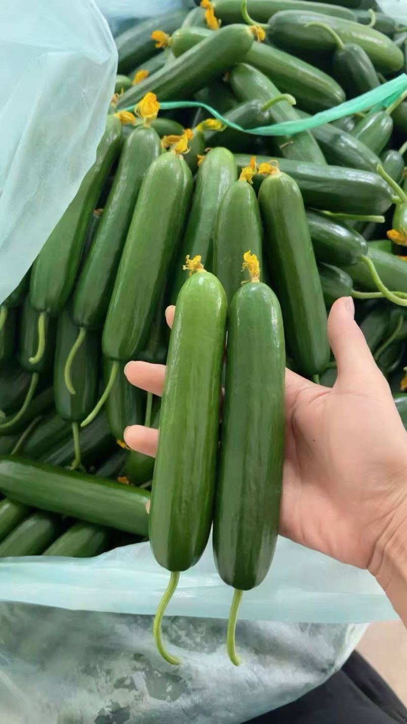 产地直发质量保证货源充足，来电咨询