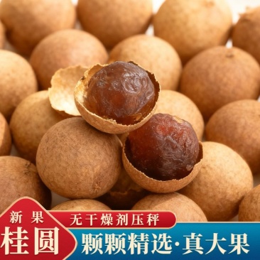 桂圆肉