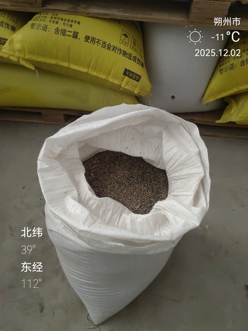 灰菜子，野生的灰菜籽