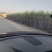 广西博白特产黑皮甘蔗黄皮甘蔗。