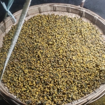 野菊花