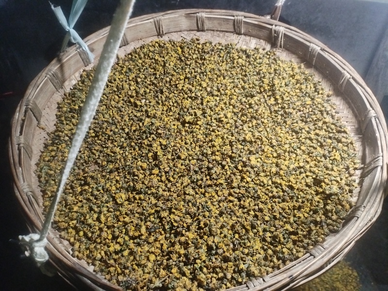 大山上的野菊花