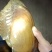 河蚌两斤以上一个