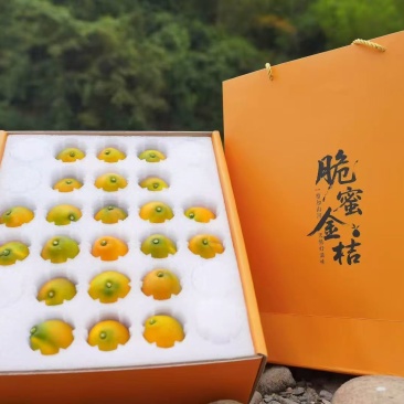 广西融安金桔