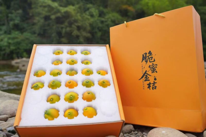 广西融安金桔