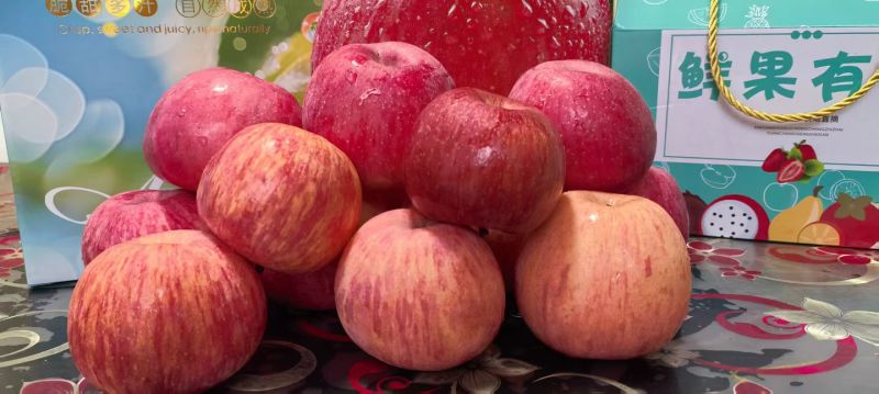 陕西铜川，自家苹果🍎农家肥料，不催熟，不打蜡，自然成