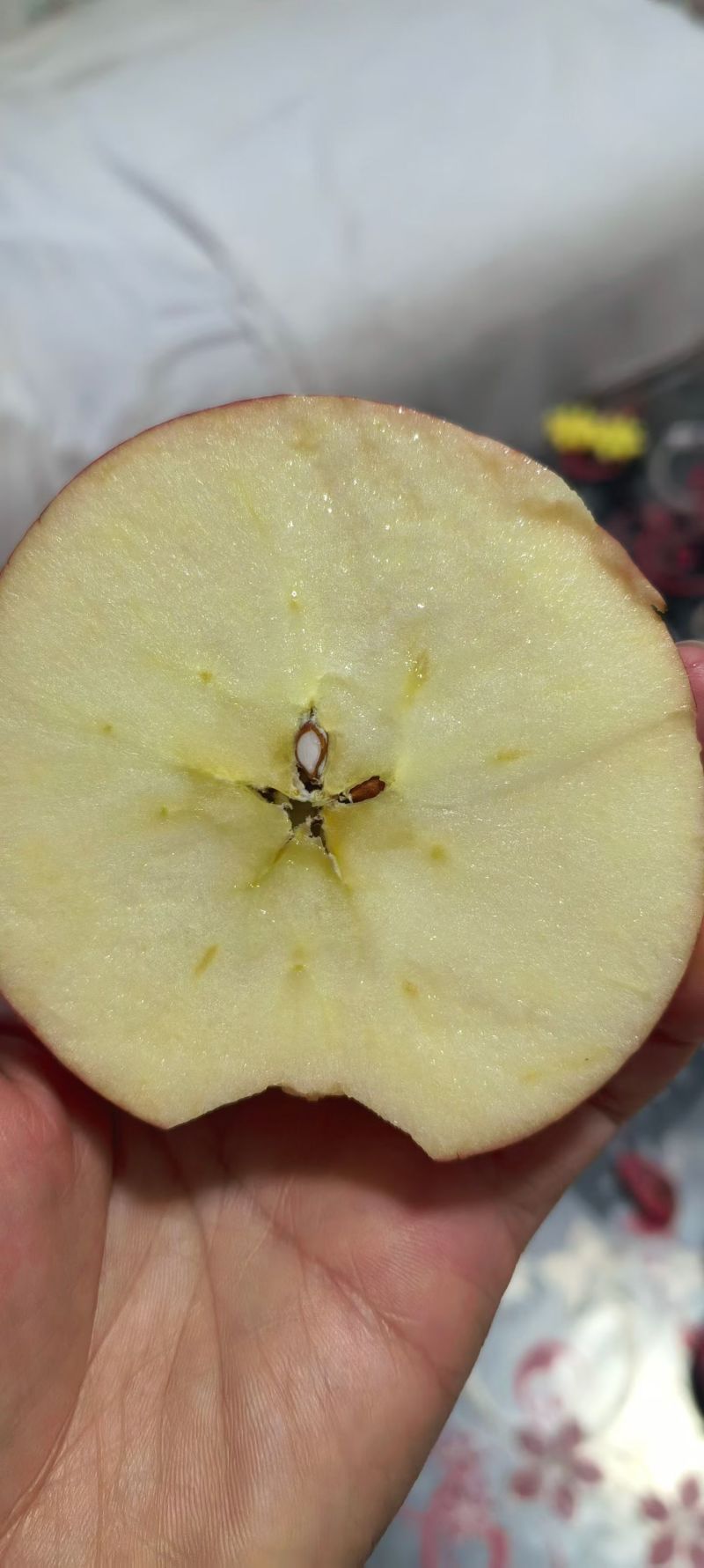 陕西铜川，自家苹果🍎农家肥料，不催熟，不打蜡，自然成